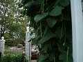 07-08-2010 23-42-39